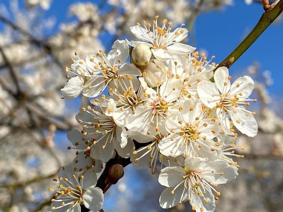 Huis Van Loon 보르글룬 외부 사진